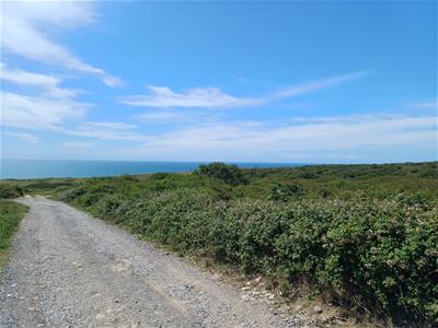 Picture 4